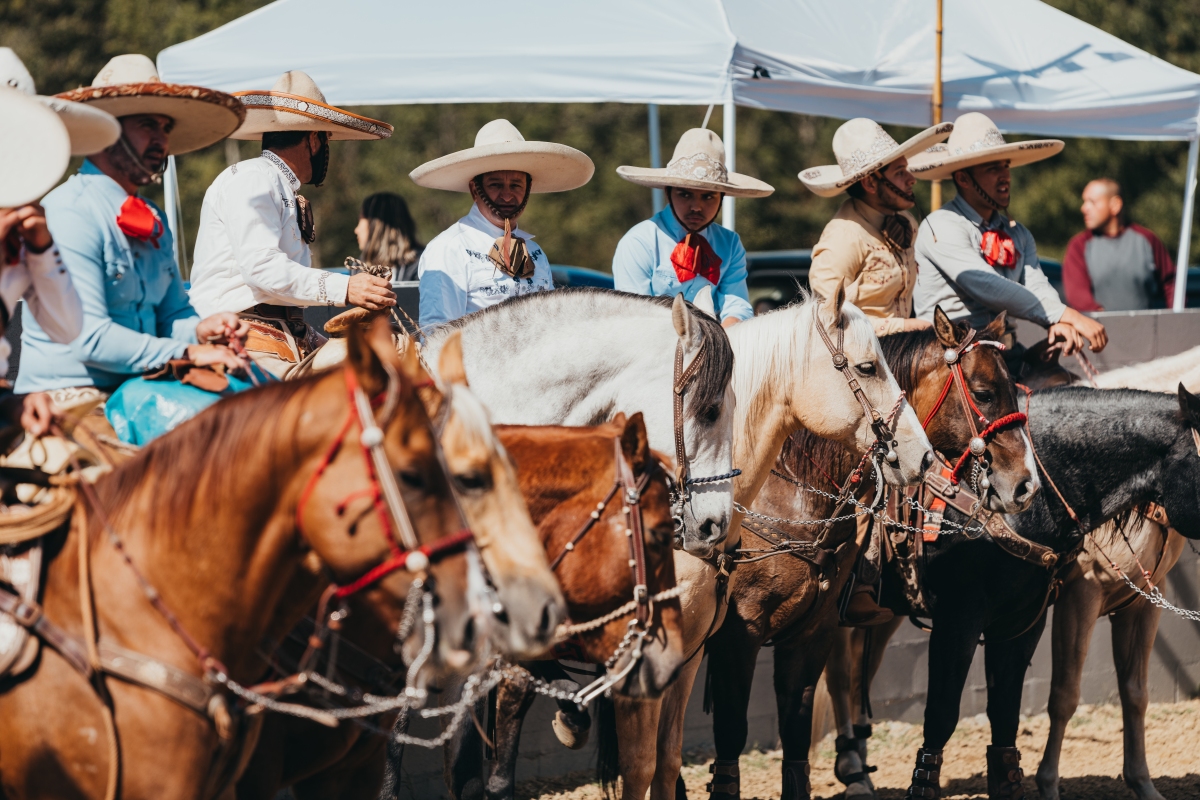 Charreadas: The Culture, The Tradition, and The Art Form